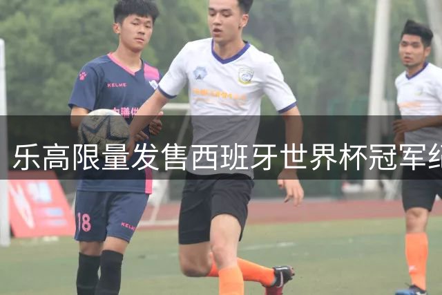 乐高限量发售西班牙世界杯冠军纪念套装 细节升级引收藏热潮
