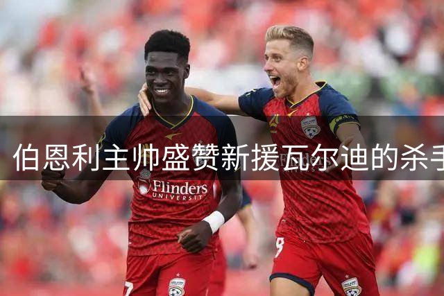 伯恩利主帅盛赞新援瓦尔迪的杀手本能