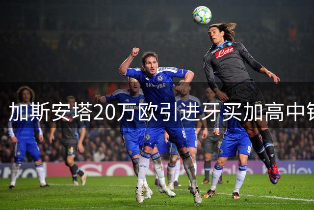 加斯安塔20万欧引进牙买加高中锋 斯图尔特将征战土超赛场