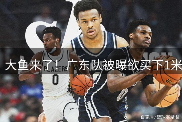 大鱼来了！广东队被曝欲买下1米92新控卫，交易筹码是张皓嘉？