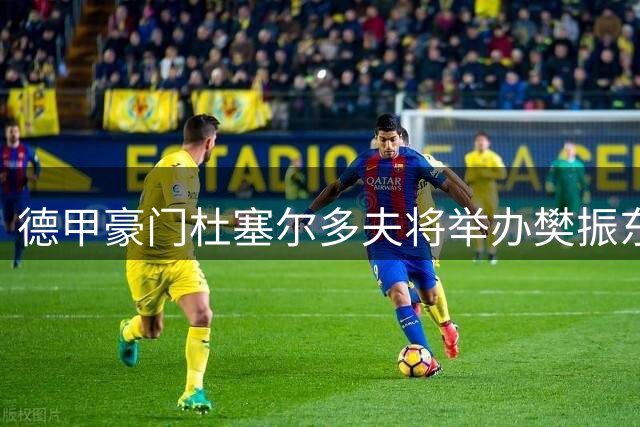 德甲豪门杜塞尔多夫将举办樊振东加盟盛典 全球直播引期待